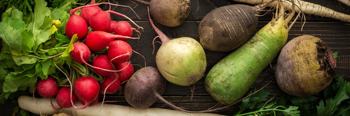 Root vegetables on a wooden background, different types of radish with beetroot and parsley, organic farm vegetables banner