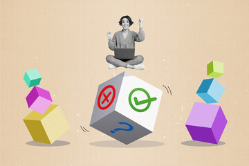Poster collage of excited levitating lady use netbook win digital lottery dice yes no crossbox isolated paint background