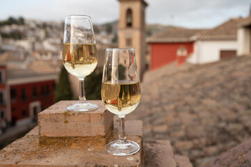 Tasting of sweet and dry fortified Vino de Jerez sherry wine with view on roofs and houses of old andalusian town