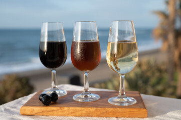 Tasting of Spanish sweet and dry fortified Vino de Jerez sherry wine and green olives with view on blue sea near El Puerto de Santa Maria, Andalusia, Spain