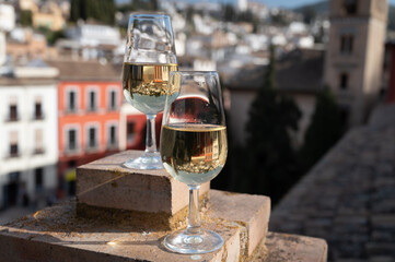 Tasting of sweet and dry fortified Vino de Jerez sherry wine with view on roofs and houses of old andalusian town