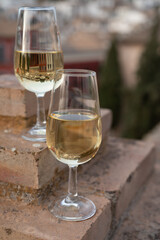 Tasting of sweet and dry fortified Vino de Jerez sherry wine with view on roofs and houses of old andalusian town