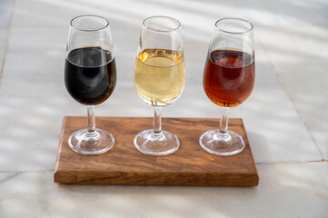 Tasting of Spanish sweet and dry fortified Vino de Jerez sherry wine