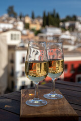 Tasting of Spanish sweet and dry fortified Vino de Jerez sherry wine with view on roofs and houses of old andalusian town