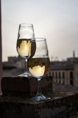Tasting of sweet and dry fortified Vino de Jerez sherry wine with view on roofs and houses of old andalusian town