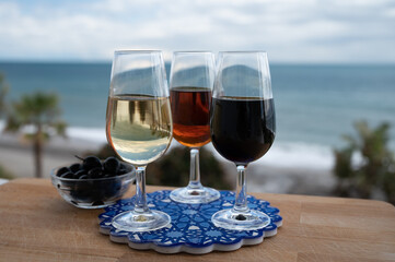 Tasting of Spanish sweet and dry fortified Vino de Jerez sherry wine and green olives with view on blue sea near El Puerto de Santa Maria, Andalusia, Spain