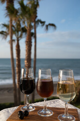 Tasting of Spanish sweet and dry fortified Vino de Jerez sherry wine and green olives with view on blue sea near El Puerto de Santa Maria, Andalusia, Spain