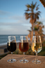 Tasting of Spanish sweet and dry fortified Vino de Jerez sherry wine and green olives with view on blue sea near El Puerto de Santa Maria, Andalusia, Spain