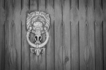 Black and white photo of a wooden door with a knocker in the form of a lion. Abstract background. Free place for inscription. Quality image for your project