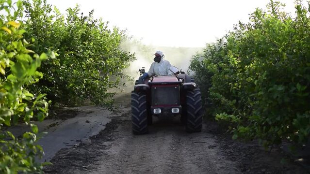 Tractor spray pesticide and insecticide on lemon plantation in Spain. Weed insecticide fumigation. A sprayer machine, trailed by tractor spray herbicide.