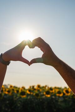 Ein Mann und eine Frau formern mit den Händen ein Herz im Sonnenlicht. Sonnenblumenfeld, Liebe.