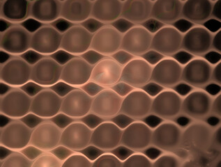 Imaginatory fractal abstract background Image