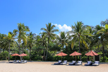 Obraz premium beach resort and palm trees