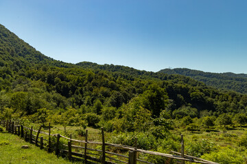 Fototapeta na wymiar Mountainous terrain covered with greenery and a fence