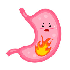 Stomach acid reflux or heartburn cartoon character in flat design on white background. 