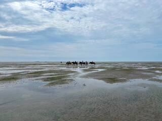 reiten im watt 03