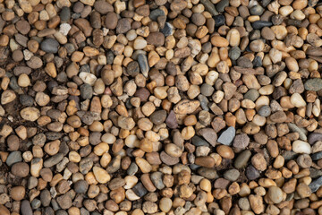 Stone background in the Garden