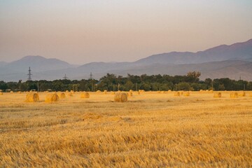 Haystacks in the fields