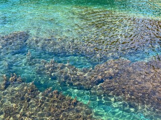 Sea clear water glittering surface with seaweed at the bottom. Amazing shiny seascape.