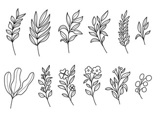 Line art leaf cute vector illustration on white background