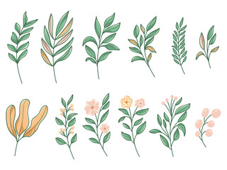 Leaf cute vector illustration on white background