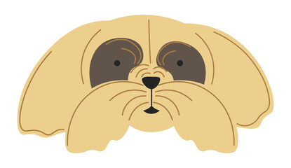 Funny dog portrait, canine animal domestic pet