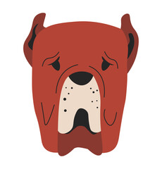 Dog portrait, domestic animal, cute canine doggy