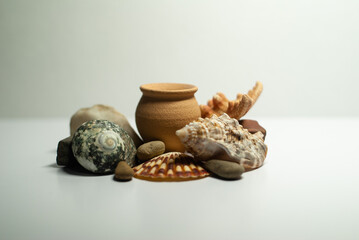 Composition. Seashells and a small pot