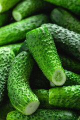 Freshly picked green cucumbers. Cucumber harvest. Preparation for the winter. Vegetable background.