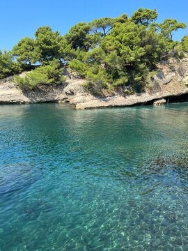 Scenic sea turquoise cove with pine trees at the shore.
