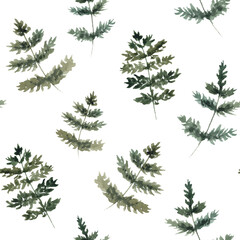 Fern seamless pattern. Leaves of the fern.
