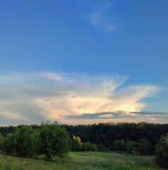 sunset over the field