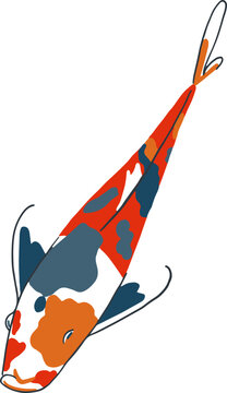 recommend clip art: Illustration of isolated koi carp with red, orange and blue spots in cartoon style