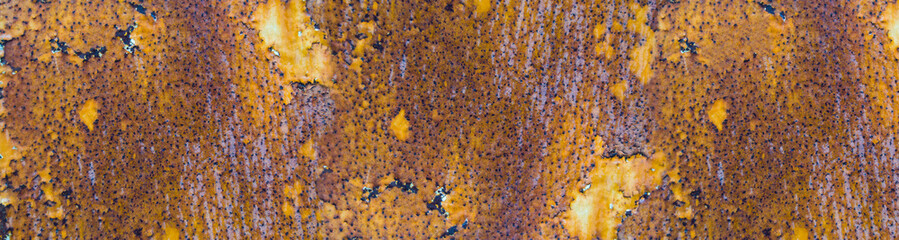 texture of rusted metal. texture to overlay on the surface. Banner for insertion into site. Place for text cope space.