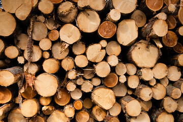 Logs of wood - obrazy, fototapety, plakaty