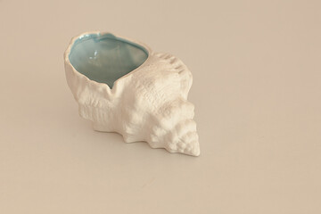 Sea shell on white background, summer concept, nautical theme