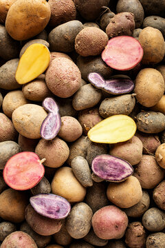 Potatoes Of Various Types And Colors