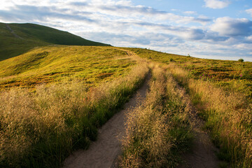 Ukrainian Carpathians in summer. Borzhava ridge.