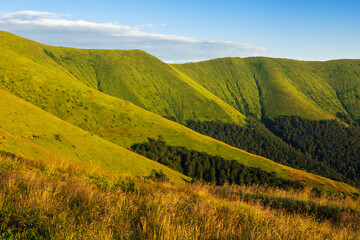 Obraz premium Ukrainian Carpathians in summer. Borzhava ridge.