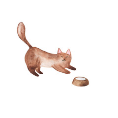 Cute brown cat and a bowl of milk. Hand drawn watercolor illustration. - 519570162