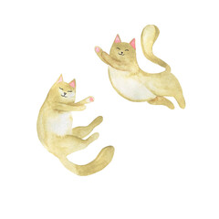 Light beige cat set. Hand drawn watercolor illustration. - 519570166