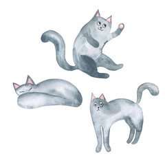 Dark grey cute cat set. Hand drawn watercolor illustration. - 519570167