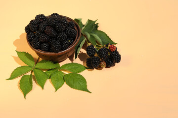 fresh blackberry on pink background with copy space