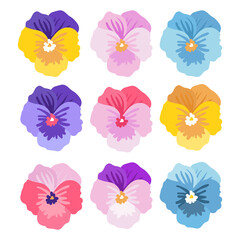 Pansy flower, violet, Víola trícolor collection vector cartoon illustration isolated on white background. Blue, yellow, purple plants set. Botanical design.
