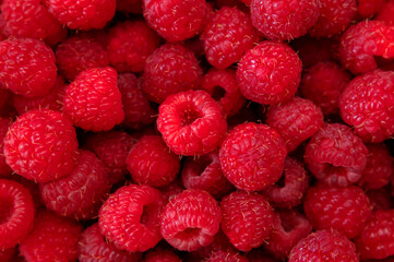 Ripe juicy raspberries close-up. Background from raspberries. Summer delicious sweet berry. Texture of raspberry macro photo. Healthy organic food, vitamins. Raspberry harvest