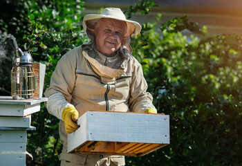 Beekeeper on apiary. Beekeeper is working with bees and beehives on the apiary. Apiculture. Copy space.