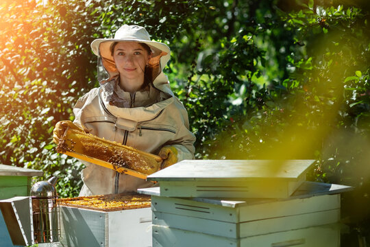 Young female beekeeper hold wooden frame with honeycomb. Collect honey. Beekeeper on apiary. Beekeeping concept.