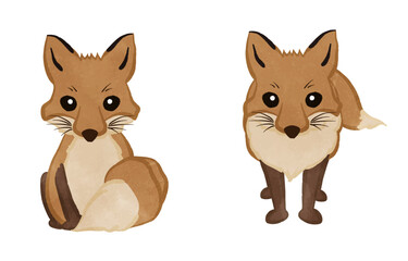 Cute fox front illustration set