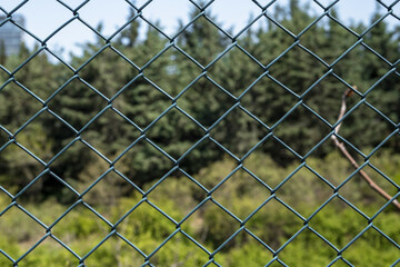 Forest behind the wires, 
out of focus background. Beautiful view of woods behind a wire fence.