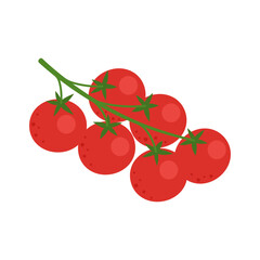 Red cherry tomatoes on branch isolated on white background. Vegetarian food. Vector garden vegetables illustration in simple flat style.